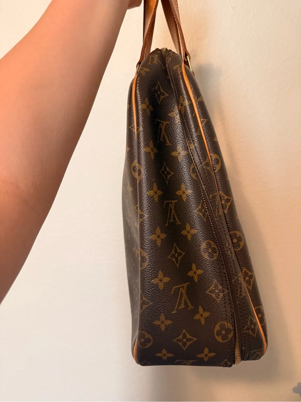 Louis Vuitton Monogram Excursion Shoe Bag